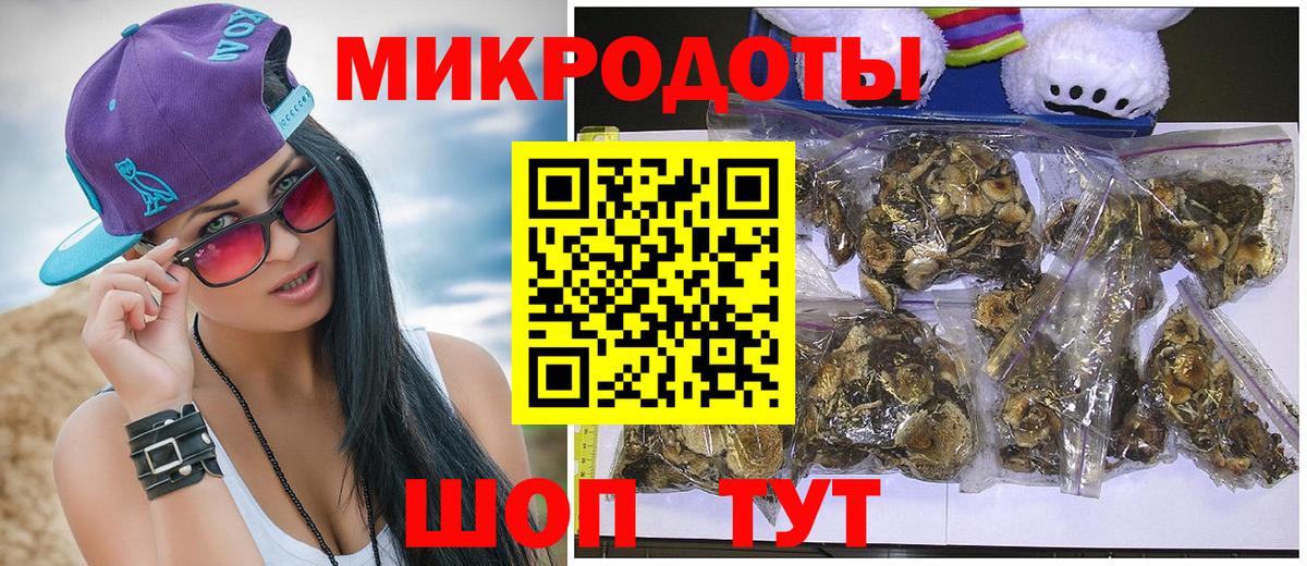 Галлюциногенные грибы MAGIC MUSHROOMS  где продают наркотики  Избербаш  Вход с VPN 
