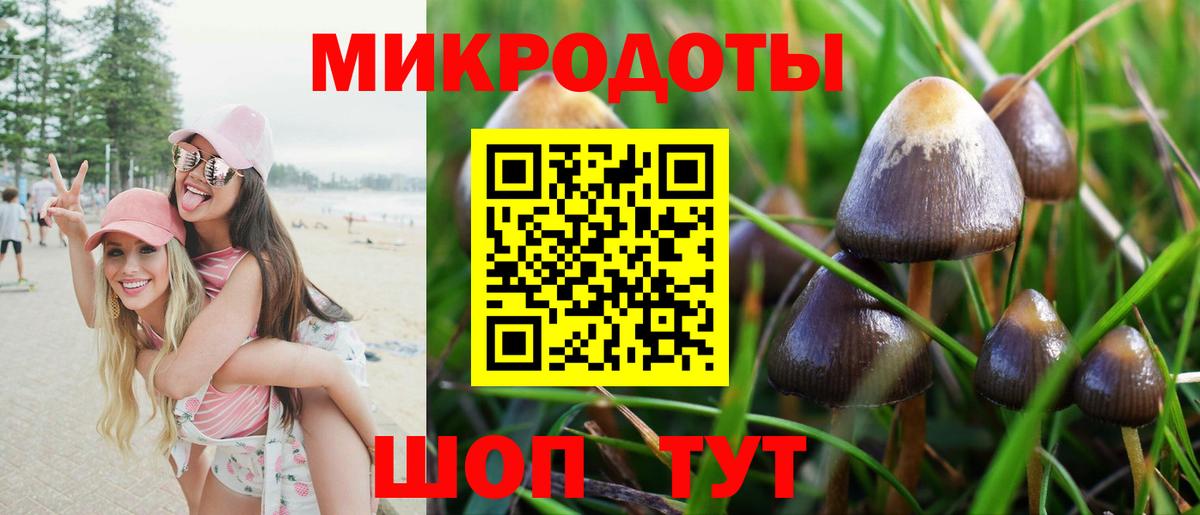 Псилоцибиновые грибы мухоморы Избербаш